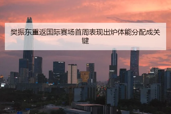 樊振东重返国际赛场首周表现出炉体能分配成关键