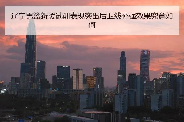 辽宁男篮新援试训表现突出后卫线补强效果究竟如何