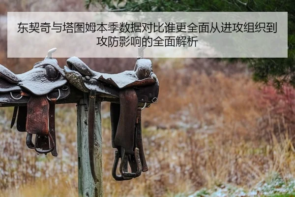 东契奇与塔图姆本季数据对比谁更全面从进攻组织到攻防影响的全面解析
