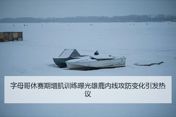 字母哥休赛期增肌训练曝光雄鹿内线攻防变化引发热议